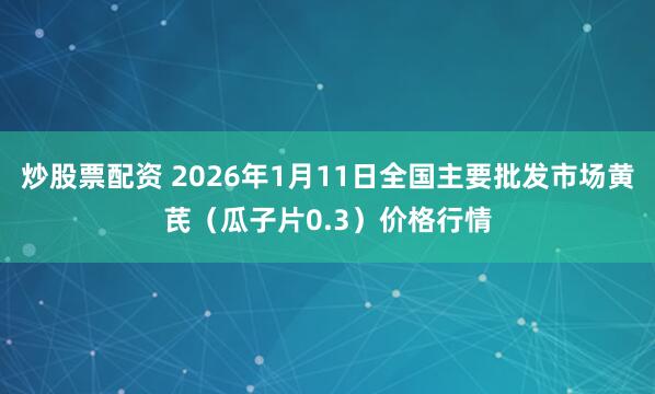 炒股票配资 2026年1月11日全国主要批发市场黄芪（瓜子片0.3）价格行情